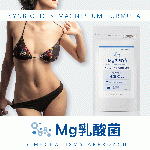 Mg乳酸菌