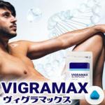 【単品】VIGRAMAX
