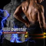 【5枚セット】Wild beaster 加圧式２４hスクワット燃焼スパッツ